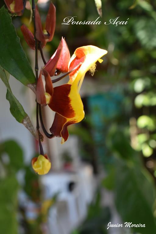 Pousada Acai Parati Exterior foto
